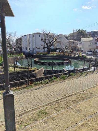 神奈川県川崎市のお散歩（第2回目）～高津区～