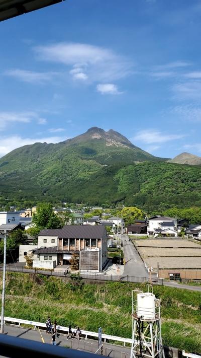 アレルギー対応　油布の旅