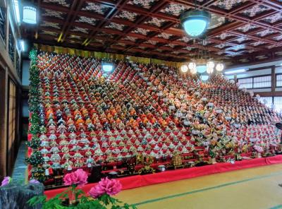 可睡齋（ひな祭り）～龍尾神社の花庭園（しだれ梅）～河井弥八記念館～伊良湖岬（菜の花）