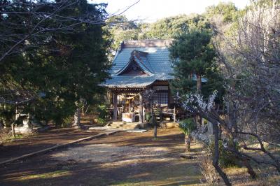 藤沢市へ