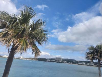 しまんちゅでびゅー’2024　Tsunagu Nago,　備瀬を散策、石垣島　竹富への旅　フサキリゾートに泊まる！