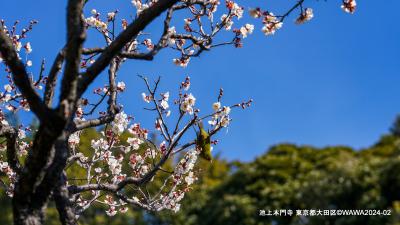 大田区ドライブ&フォトウォーク
