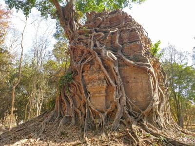 弾丸世界遺産紀行「古代イシャナプラの考古遺跡 サンボー・プレイ・クックの寺院地区 」 2024年2月