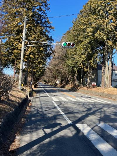 日光水戸駅伝単独走【第４区】31.5Km　小金井→徳次郎