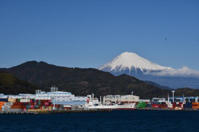 久能山の麓で苺狩り