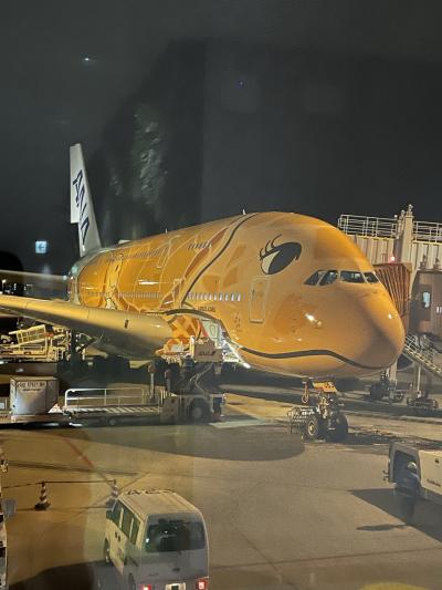 A380 FLYING HONU ラーちゃんで行く!ハワイ4泊6日の旅』オアフ A380 FLYING HONU ラーちゃんで行く!ハワイ4泊6日の旅』オアフ