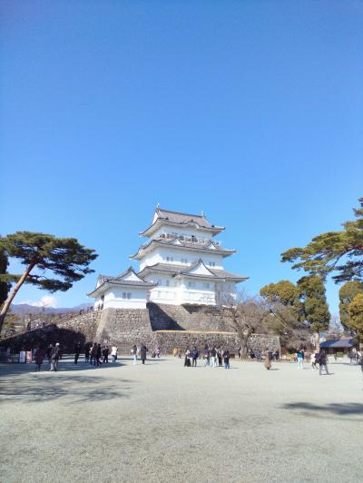 小田原城へ行ってきました