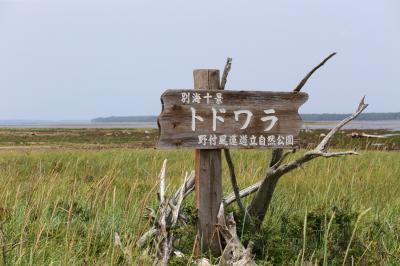 北海道旅行記2023 part15 トドワラはもう終わっていた編