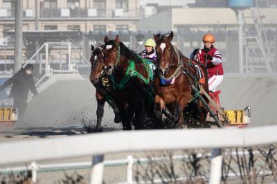 タウシュベツ川橋梁とエゾモモンガに会いに十勝へ②