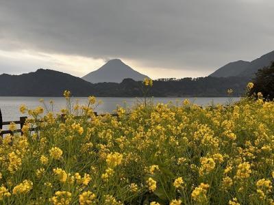 宮崎・鹿児島を巡る南九州感動の旅 　桜島へ