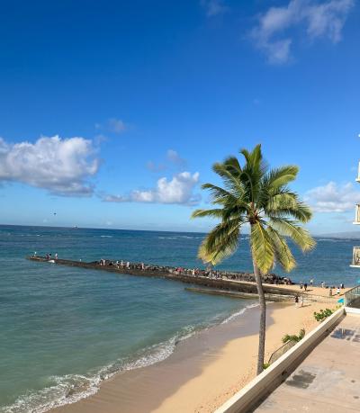 2024年1月　久しぶりのハワイ①