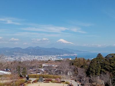 駿河２０２４早春　【２】日本平