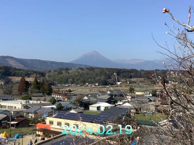 宮崎県都城市高崎町にある高崎梅林に行ってみた