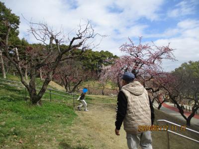 孫連れて大池公園240217‐241022銭湯と梅見と花見