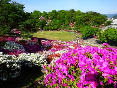 AGFSMくるり　福井・西山公園