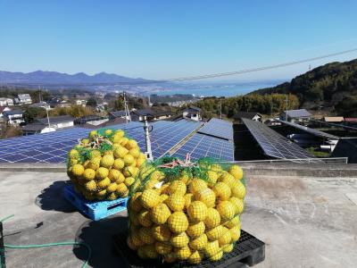 ①鉄輪編／9日間の九州横断バスの旅