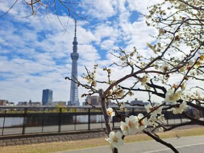 文化・自然・人情あふれる冬の下町ハイキンＧＵ！