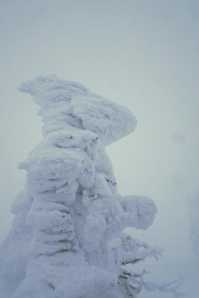 2つの蔵王樹氷と2つの「5つ星の宿」--山形蔵王樹氷・こんにゃく会席・銀山温泉--