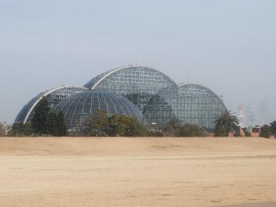 夢の島公園熱帯植物館で花と植物を鑑賞 2024.2