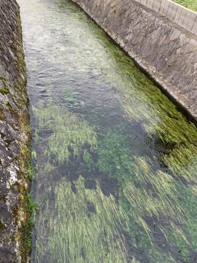 滋賀　高島市新旭町　生水の郷　針江