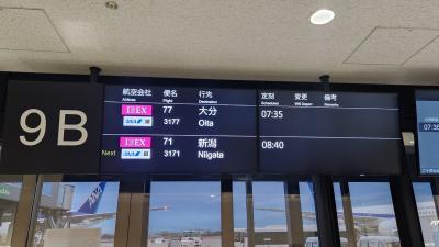 ANA日帰り弾丸旅行