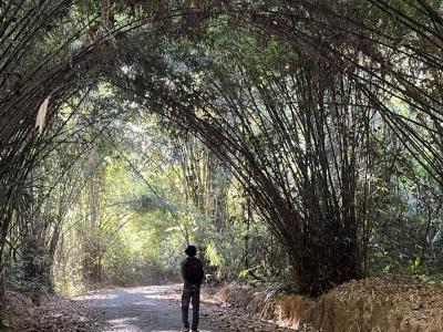 ベトナムへ鳥を見に~旅編