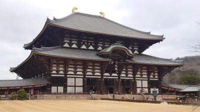 新天地への旅 vol.7 奈良の大仏：東大寺