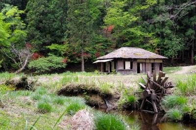 行きたかった場所へ③ー小西旅館、黒沢湿原