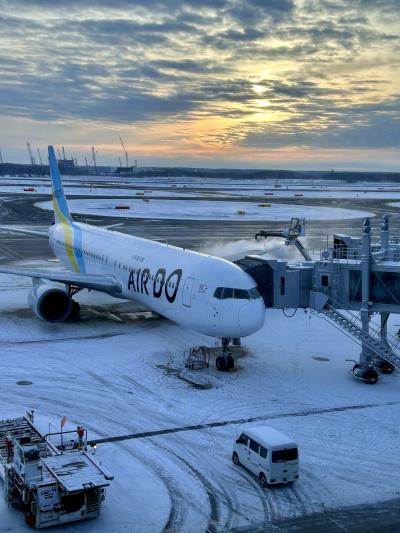 吹雪の週末に、仙台ちょこと松島一人旅