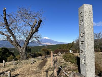 静岡お城めぐり【前編】