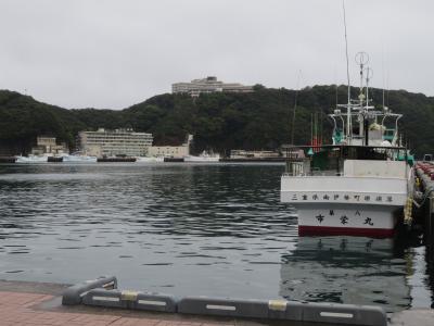 かけ流し天然温泉＆鮪の町、紀伊勝浦へ