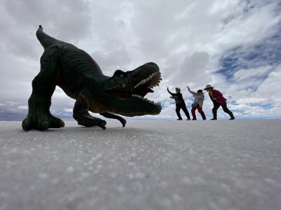 ばあばのウユニ塩湖とアタカマ砂漠体験旅