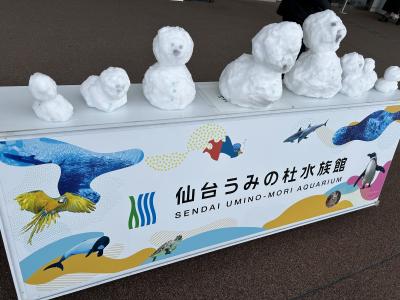 お得すぎる !! 1万円で1日乗り放題の"キュンパス"で仙台へ ! (水族館、ずんだ、牛タンなど。)