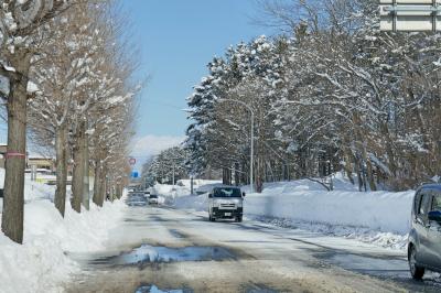 春はまだ少し先、雪の中の日々