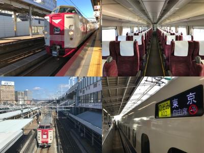 さらば！最後の国鉄型電車特急「やくも」に乗りに行く旅　その3