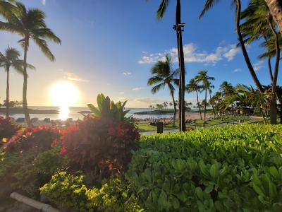 ★{Marriott&#39;s Ko Olina Beach Club}楽しいイベント◆ビンゴ大会◆ポリネシアンディナーショー【フィアフィア】⑥