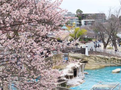 今のうち再び東山と西山レッサーパンダ遠征（３）東山動植物園いろいろ動物以外やカフェや動物ハイライト写真＆自然科学館２階の爬虫類や新ジャガー舎