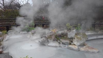 杉乃井ホテル宙館に泊まる:地獄巡りとサファリで別府を満喫