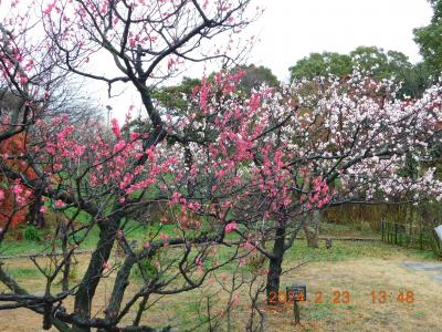 2024年2月　ミステリーツアーに行って来ました。三重県関宿　愛知県常滑・知多