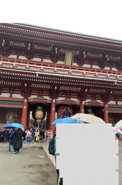 赤ちゃん連れの雨ディズニー&東京観光　1日目