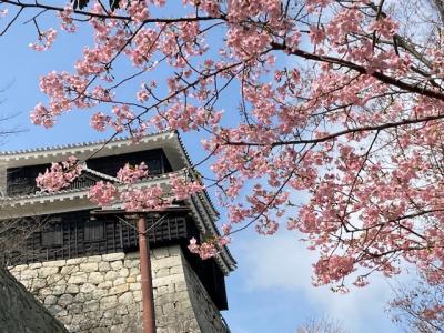 松山市内屈指の絶景スポット松山城