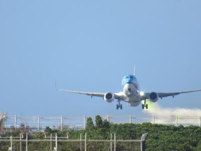 恒例のプロ野球沖縄キャンプ見学2