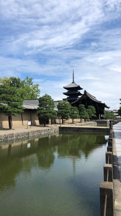 京都の1日！