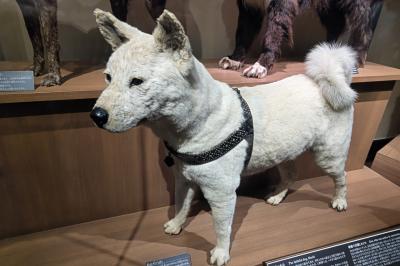 ギリ生き民が行く！東京・上野御朱印巡り！