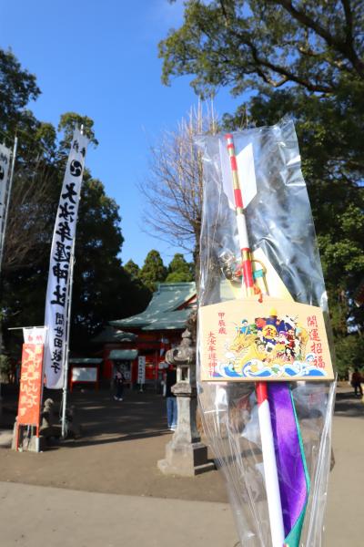 Latvijas L&#257;cisの大冒険♪ ～鹿児島県の年始詣に出かけてきました♪～