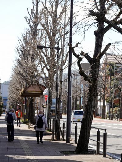 甲州街道を歩く（八王子～高尾）