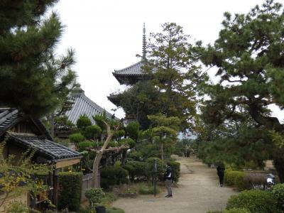 聖徳太子所縁の斑鳩の里、法起寺・法輪寺・中宮寺跡・藤ノ木古墳巡り