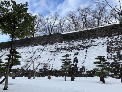 キュンパス使って岩手100名城(盛岡城)