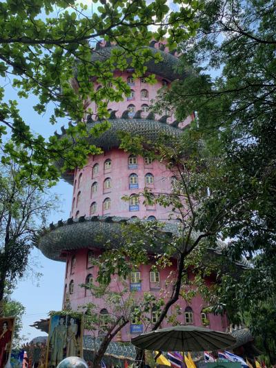 辰年にふさわしい？ワットサムプラーンからの３６０度絶景