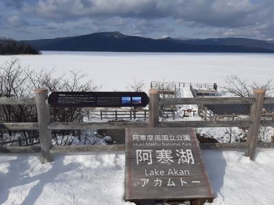 全面結氷・冬の阿寒湖のアクティビティ